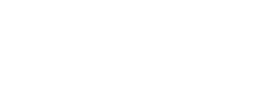 CEO Insights