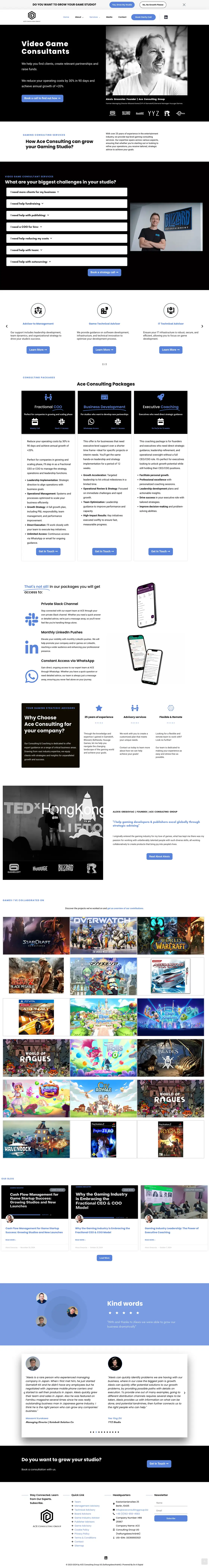 The Ace Consulting Group website